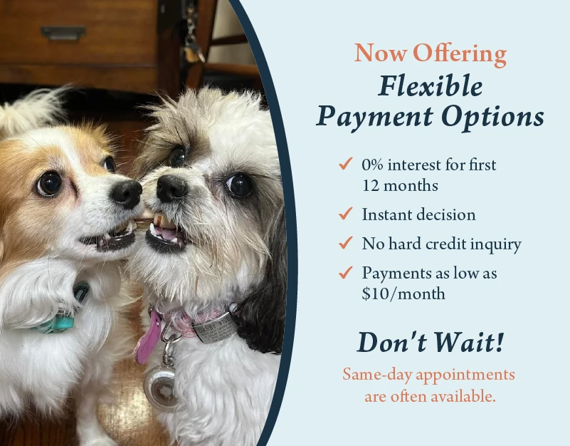 payment options