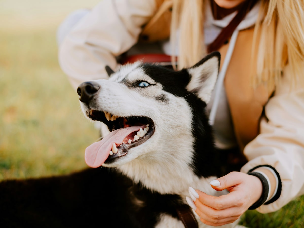 Girl loving her pet dog while sitting on park